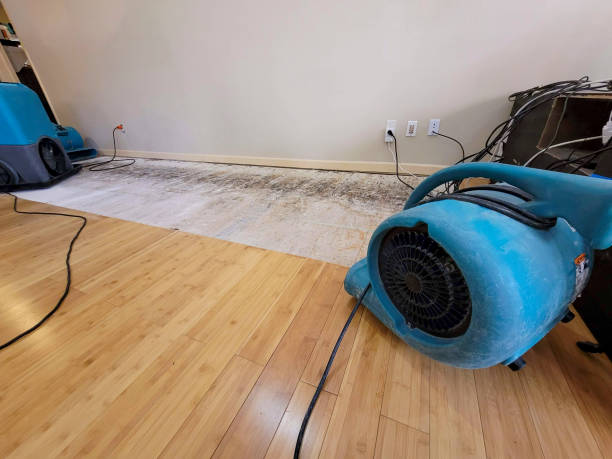 Professional Basement Flood Cleanup technician working in Wetmore, CO